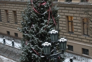 The Christmas tree of the Saeima was lighted
