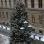 Pie Saeimas tiks iedegta Ziemassvētku egle
