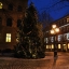 Pie Saeimas tiks iedegta Ziemassvētku egle