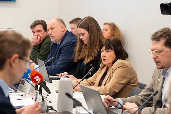 Pilsonības, migrācijas un sabiedrības saliedētības komisijas sēde