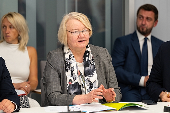 Eiropas lietu komisijas sēde